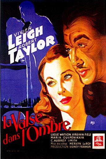 Regarder La Valse dans l'ombre en streaming complet