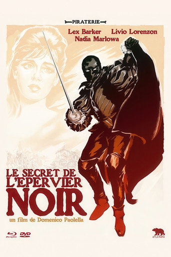 Regarder Le Secret de l'épervier noir en streaming complet
