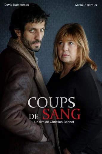 Regarder Coups de sang en streaming complet