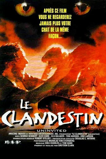 Regarder Le Clandestin en streaming complet