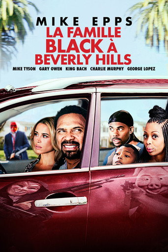 Regarder Meet the Blacks en streaming complet