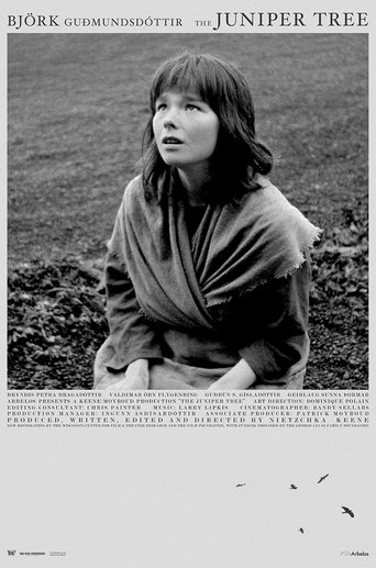 Regarder The Juniper Tree en streaming complet