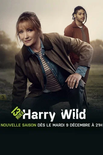 Regarder Harry Wild - Saison 5 en streaming complet